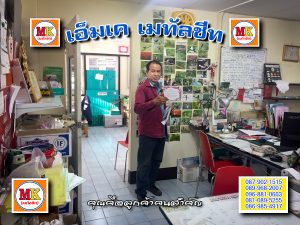 สี่พระยา ทำหลังคาตึกแถว