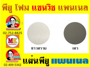 แพนเนล พียูโฟม (Panel PU Foam)