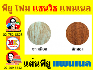 แพนเนล บุฉนวนพียู แบ่งเป็น 5 แบบ (Type) มี 5 สีให้เลือก