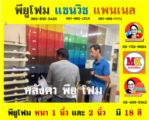 หลังคา พียู โฟม (PU Foam Roof) จังหวัดอ่างทอง