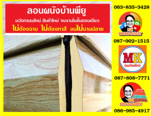 ลอนผนังบ้าน แซนวิช พียูโฟม (House Wall Panel Sandwiches PU Foam)